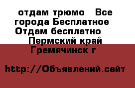 отдам трюмо - Все города Бесплатное » Отдам бесплатно   . Пермский край,Гремячинск г.